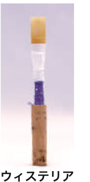  TYPE ウィステリア  オーボエ リード OBOE REED ノナカ　以下は対応不可　北海道 沖縄 離島 代引き