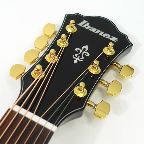エレキアコースティックギター HF-FUYUYOZAKURA SE'22 F,S/STD FYZB (Headway