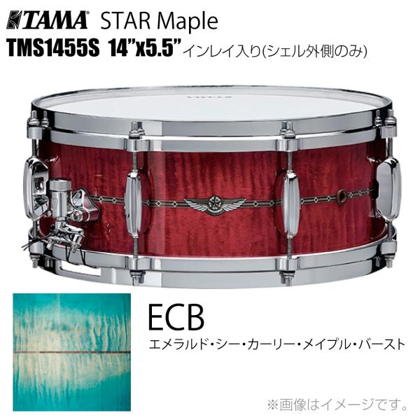 TAMA タマ STAR Maple TMS1455S ECB インレイ入り（シェル外側のみ） ドラム スネア