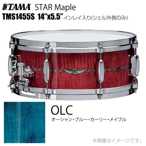 TAMA タマ STAR Maple TMS1455S OLC インレイ入り（シェル外側のみ） ドラム スネア