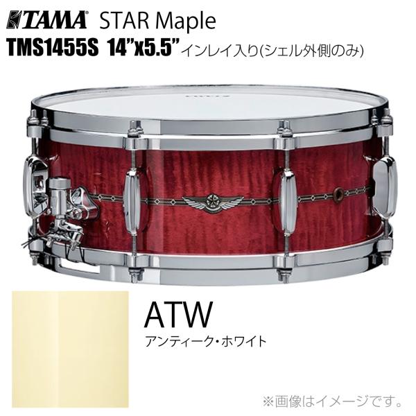 TAMA タマ STAR Maple TMS1455S ATW インレイ入り（シェル外側のみ） ドラム スネア