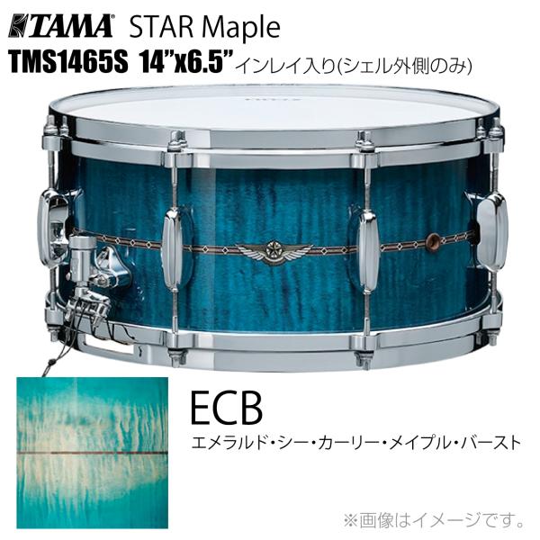 TAMA タマ STAR Maple TMS1465S ECB インレイ入り（シェル外側のみ） ドラム スネア