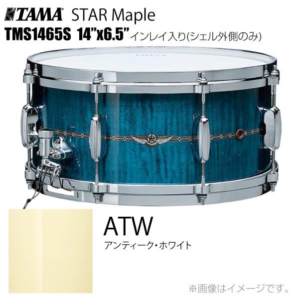 TAMA タマ STAR Maple TMS1465S ATW インレイ入り（シェル外側のみ） ドラム スネア