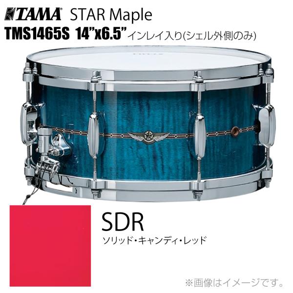 TAMA タマ STAR Maple TMS1465S SDR インレイ入り（シェル外側のみ） ドラム スネア