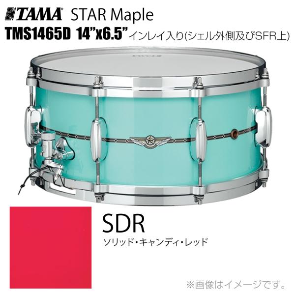 TAMA タマ STAR Maple TMS1465D SDR インレイ入り（シェル外側とSFR） ドラム スネア
