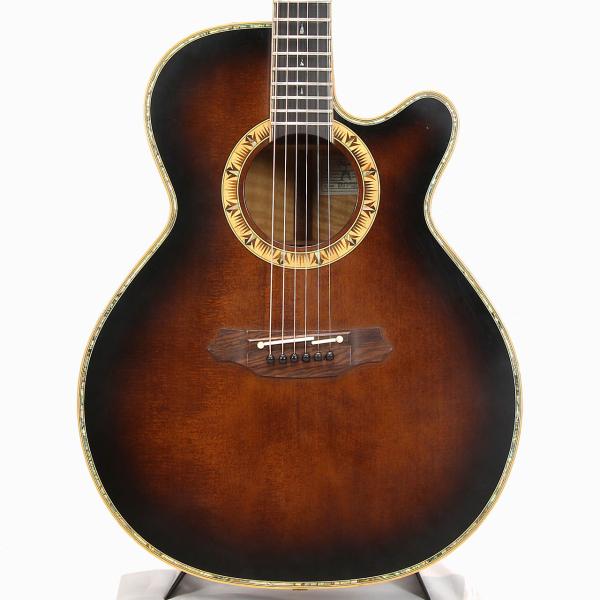 TAKAMINE タカミネ  DSP530 *2000