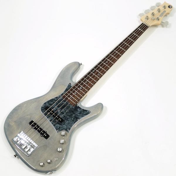 Freedom Custom Guitar Research C.S. RHINO 5st Alder / Poltergeist 