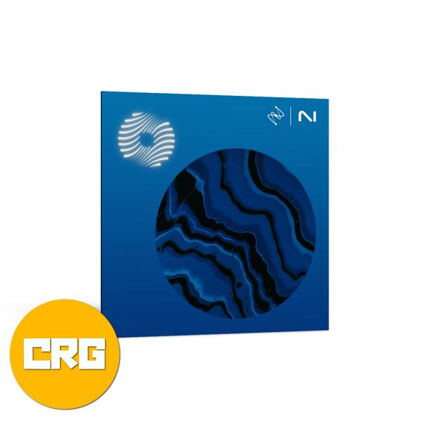 iZotope Ozone 12 Standard: Crossgrade from any paid iZotope product