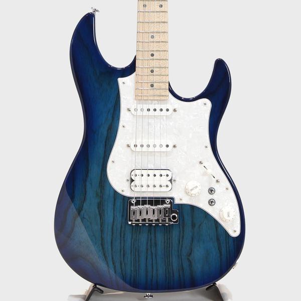 FgN フジゲン EOS2-ASH-M / SBB (See-through Blue Burst)