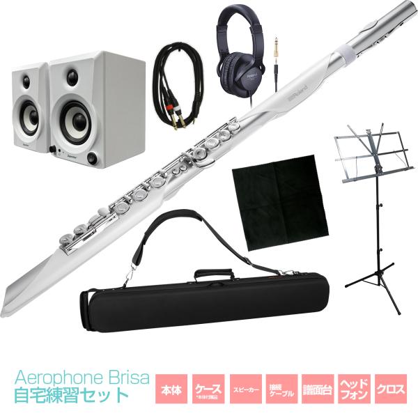 Roland ローランド Aerophone Brisa 自宅練習セット ウィンドシンセサイザー フルートスタイル エアロフォン