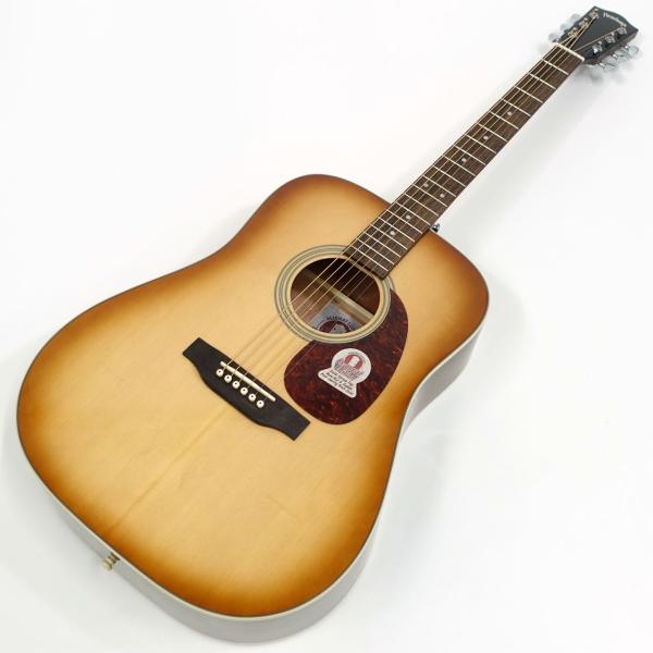 Headway ヘッドウェイ HD-Essential ASB アコースティックギター 2025