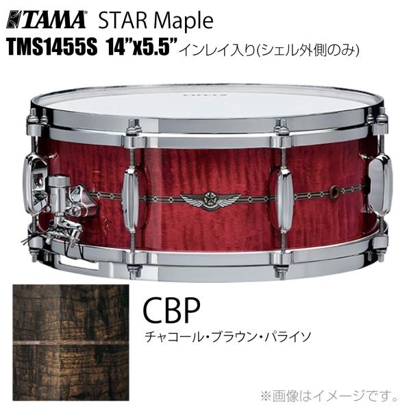 TAMA タマ STAR Maple TMS1455S CBP インレイ入り（シェル外側のみ） ドラム スネア