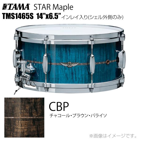 TAMA タマ STAR Maple TMS1465S CBP インレイ入り（シェル外側のみ） ドラム スネア
