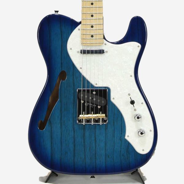 FgN フジゲン NTE100MAHT / SBB(See-Thru Blue Burst)