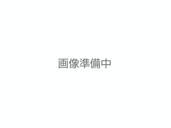 ARMOR アルモア RACK CASE SD2U (D300） 01ブラック 