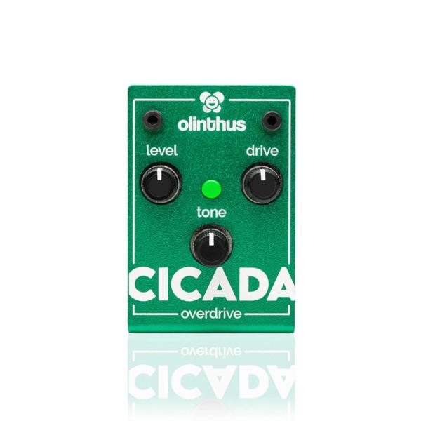 Olinthus CICADA エフェクター オーバードライブ