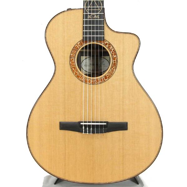 Taylor テイラー JMSM Jason Mraz Signature Model 特価品 ジェイソン・ムラーズ・シグネチャー エレガット エレアコ アコースティックギター