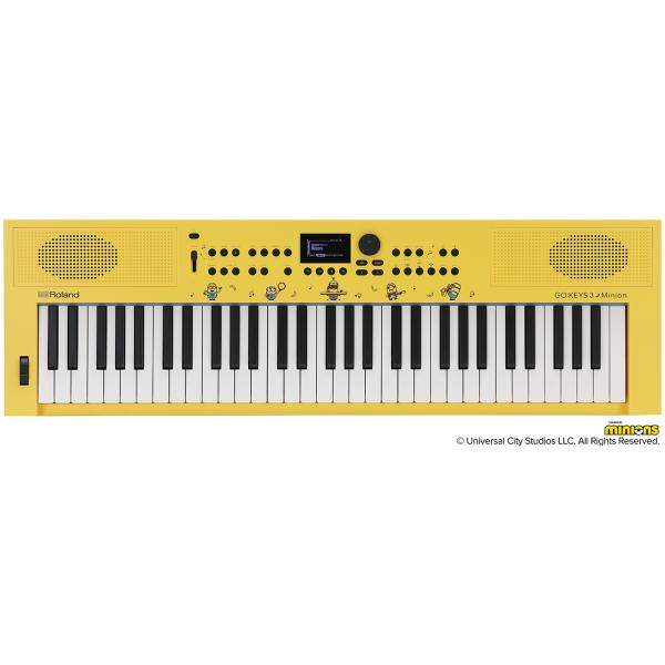 Roland ローランド GO:KEYS 3 Minion GOKEYS3-MI ミニオン 61鍵盤