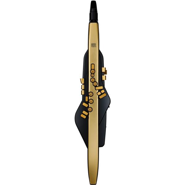 Roland ローランド Aerophone Pro Gold Limited Edition ウィンドシンセサイザー AE-30A 限定カラー ゴールド