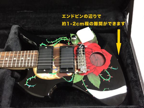 FERNANDES ( フェルナンデス ) FHC-ZO【 ZO-3専用 ハードケース