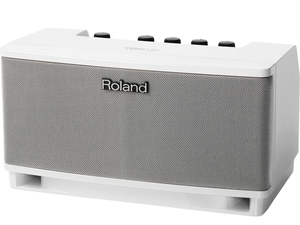 Roland ローランド CUBE Lite MONITOR ( CUBE-LM ) キューブライト モニター