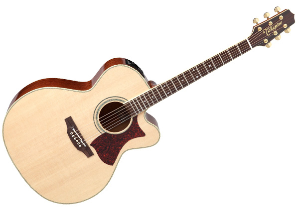 TAKAMINE タカミネ PTU041C N