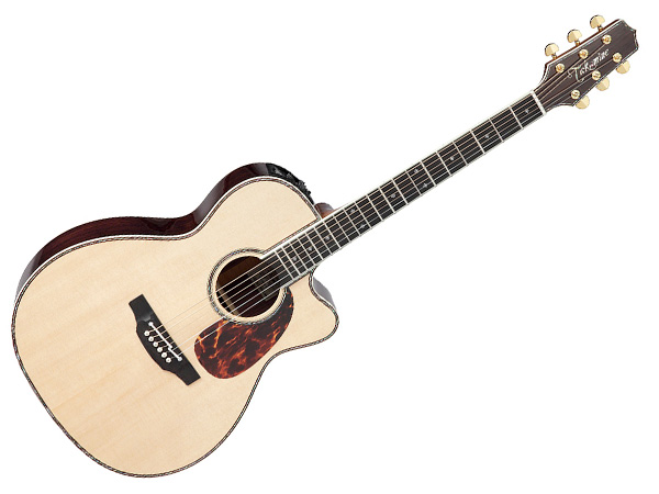 TAKAMINE ( タカミネ ) DMP700 N