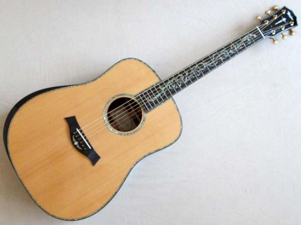 Taylor ( テイラー ) PS10e