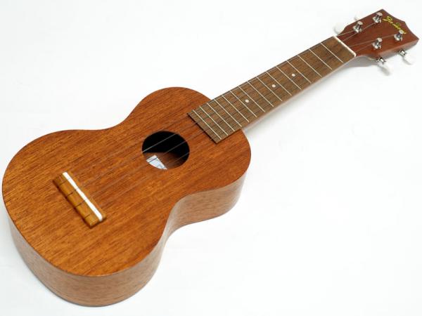 Famous フェイマス FS-1G 