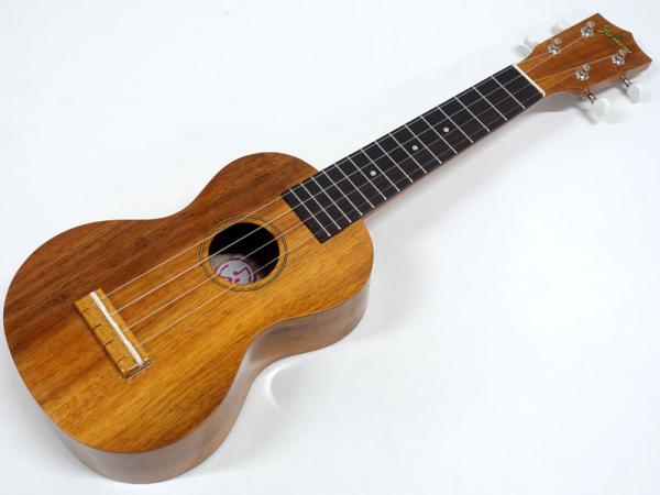 Famous フェイマス FS-5G