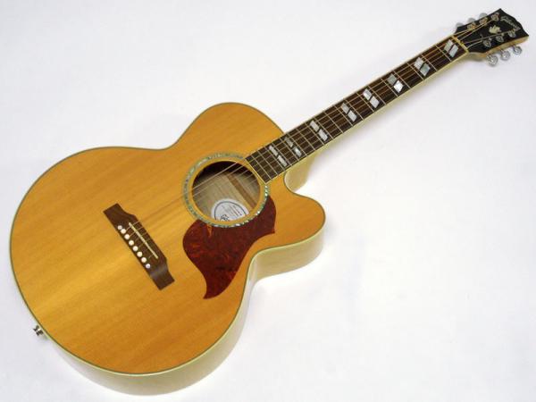 Gibson ( ギブソン ) J-165 EC Maple < Used / 中古品 > | ワタナベ