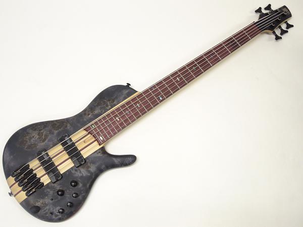 Ibanez ( アイバニーズ ) SRSC805 DTF