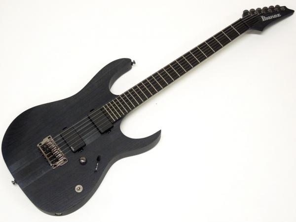 Ibanez ( アイバニーズ ) RGIT20FE / TGF