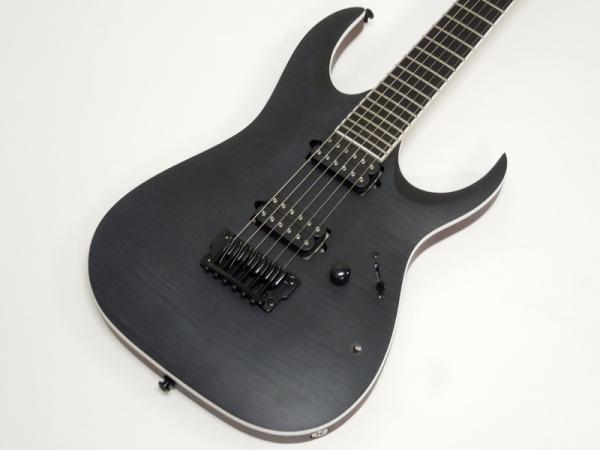 IBANEZ Iron Label RGAIX6FM - The GEAR GODS Review - YouTube