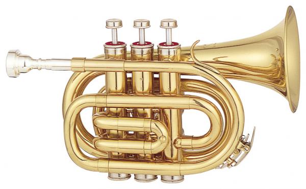 MAXTONE ( マックストーン ) TM-100L ポケットトランペット ゴールド 新品 管楽器 ミニ トランペット B♭管 本体