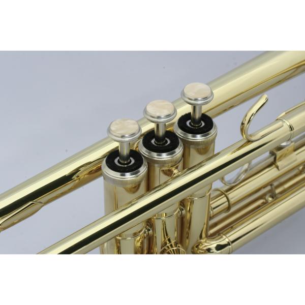 maxtone マックストーン　トランペット ゴールド Amazon.co.jp: MAXTONE トランペット B♭管 ゴールドラッカー