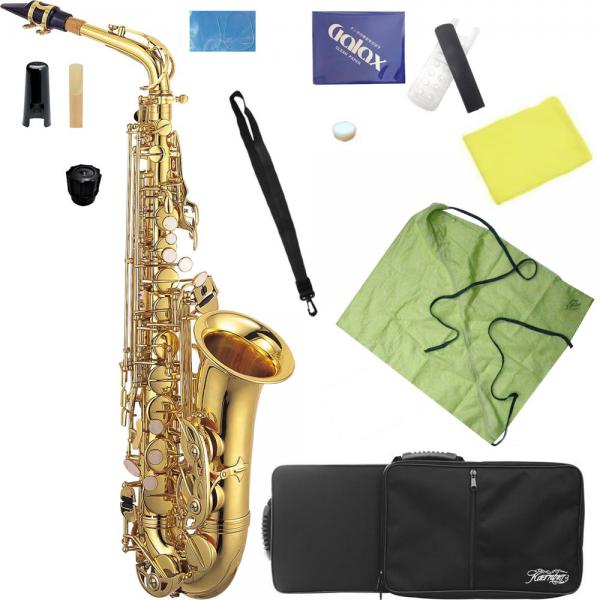 Kaerntner ケルントナー KAL62 アルトサックス ラッカー ゴールド 管楽器 Alto saxophone KAL-62 セット D　北海道不可 沖縄不可 離島不可 代引き不可 同梱不可
