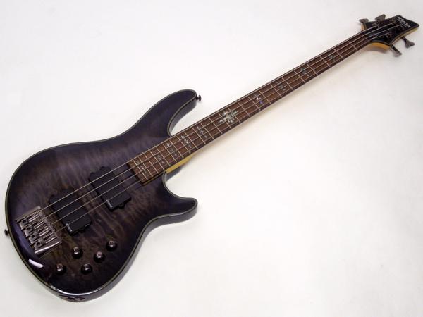 SCHECTER ( シェクター ) DAMIEN ELITE 4 (AD-DM-EL-4) / TBB