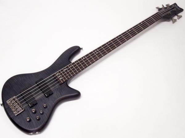 SCHECTER ( シェクター ) STILETTO STUDIO 5<AD-SL-ST5> / STBK