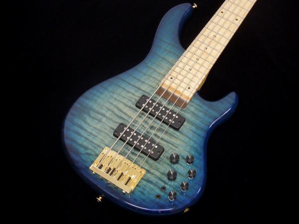 STR GUITARS LS548 #443 | ワタナベ楽器店 大阪店