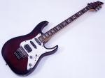 SCHECTER ( シェクター ) Banshee-6 FR Extreme AD-BS-FRT-EXT / BCHB