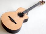 Taylor テイラー NS72ce JPN LTD