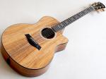 Taylor テイラー K26ce Japan Limited