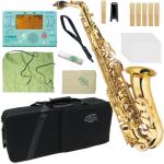 J Michael Jマイケル AL-500 アルトサックス ラッカー 管楽器 alto saxophones gold TDM-700DARL アリエル チューナー セット F　北海道 沖縄 離島不可 