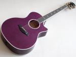 Taylor ( テイラー ) Custom GAce-Maple Premium Purple "Sitka Spruce / A Flame Maple"