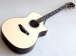 Taylor テイラー CST15 GAce-Cocobolo "Premium Sitka Spruce / Cocobolo"