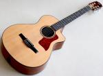 Taylor テイラー GCce-Curly Mahogany Nylon Japan Limited