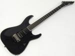 E-II HORIZON SGZ CUSTOM(BLK) 【SUGIZO モデル 受注生産品 】