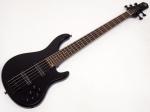 STR GUITARS LS5-ASH / Mountain Night Black