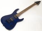 Grass Roots グラスルーツ G-HR-42NT（Burner See Thru Blue）【 エレキギター  】